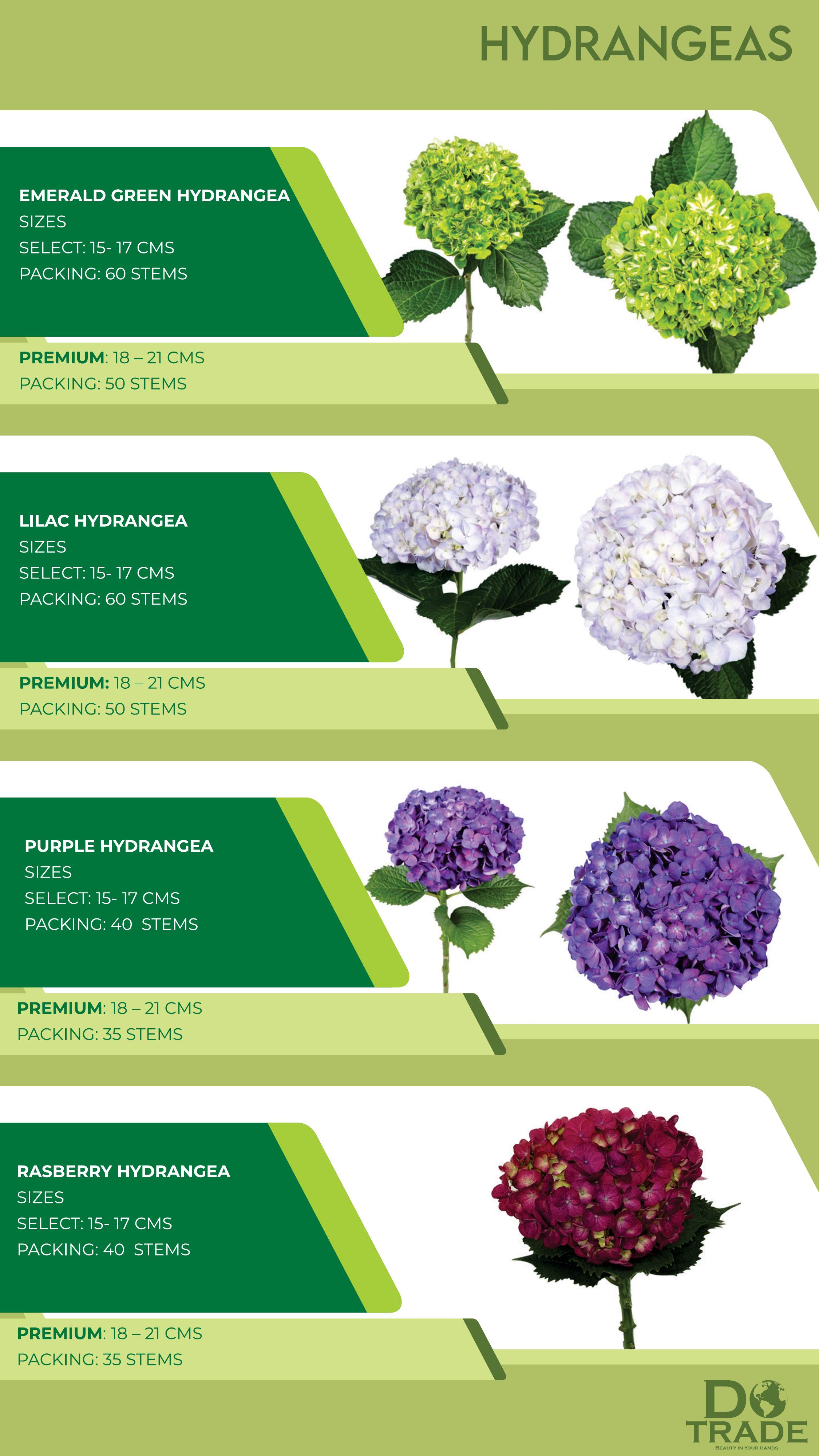 Hydrangeas Emerald, Lilac, Purple, Raspberry