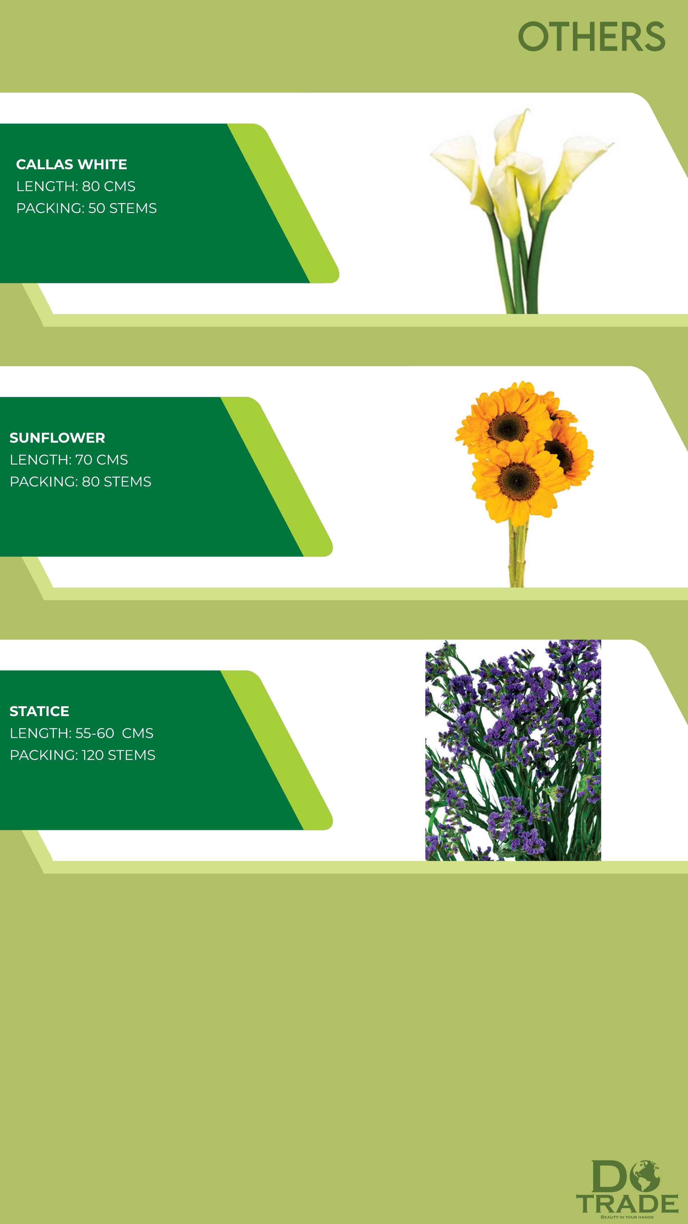 Others — Callas White, Sunflower, Statice